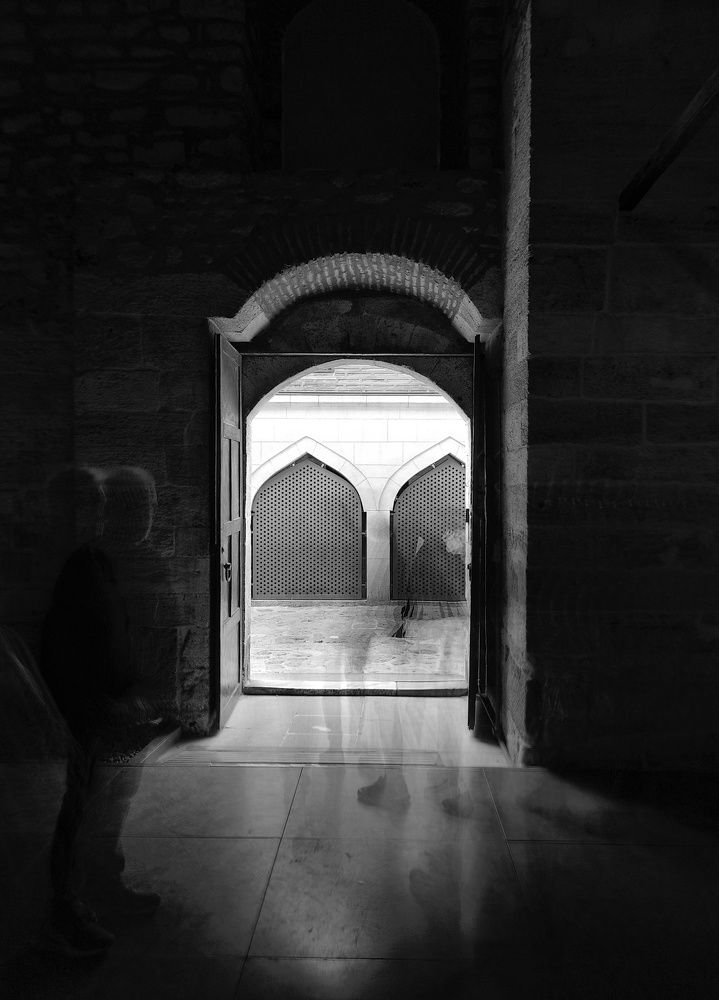 Photo #8697683