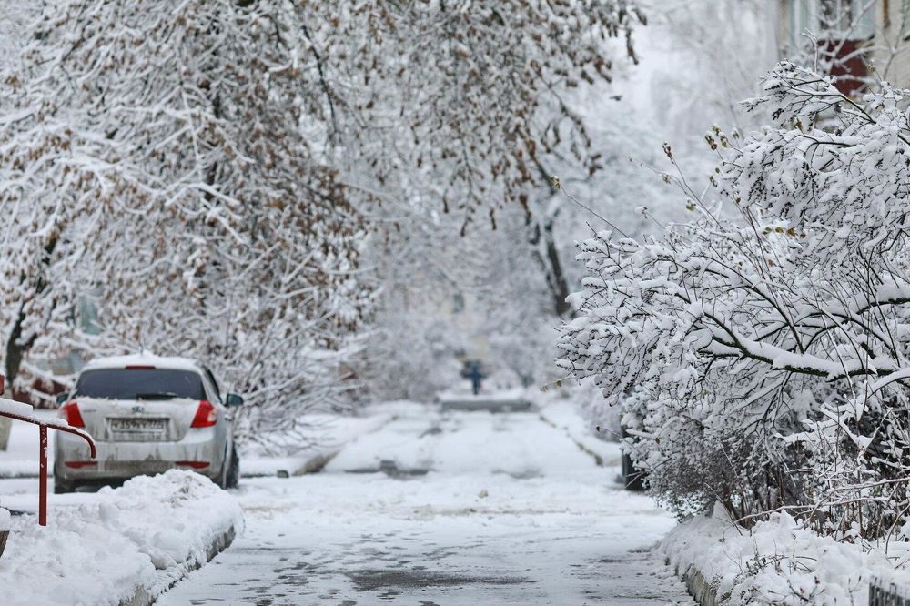 Photograph by Татьяна Бравая