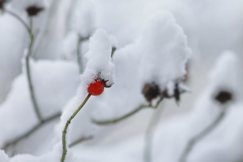 Photograph by Татьяна Бравая