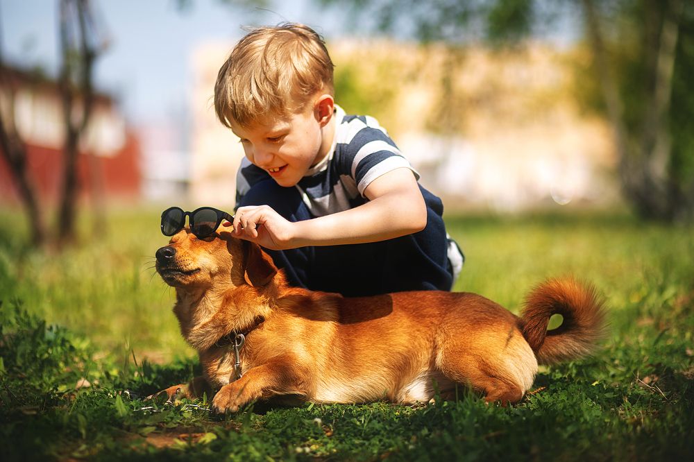 Photograph by Надежда Лисова