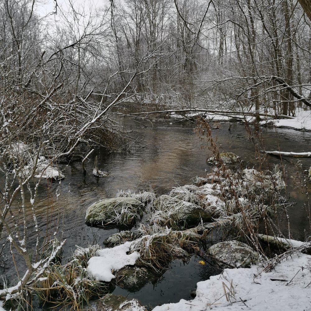 Photograph by Наталина Князева