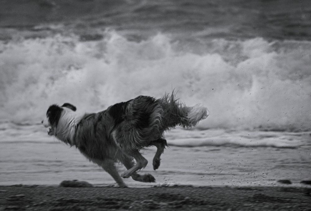 Photo #8697818