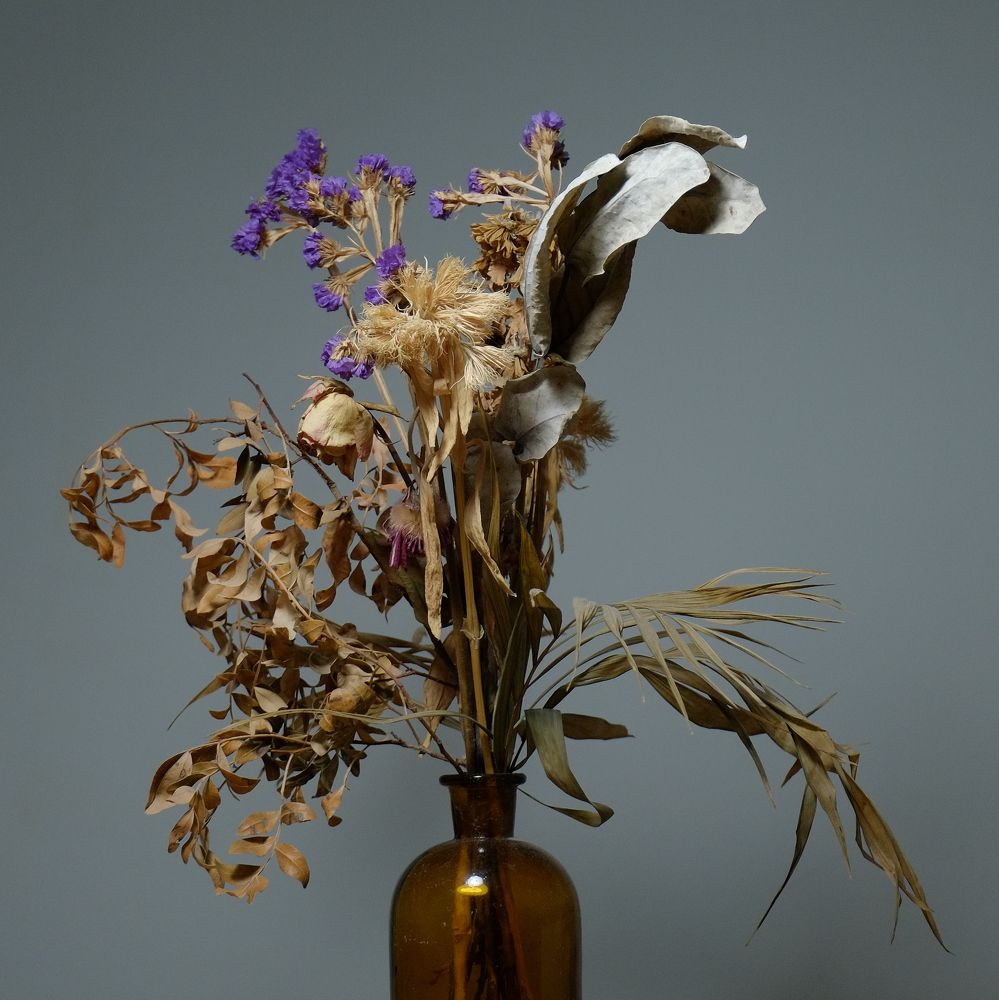 Фотография автора Ketov Vladimir