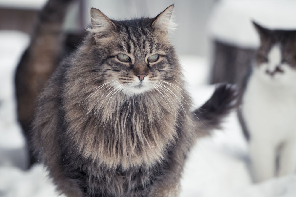 Photograph by Марина Куценко