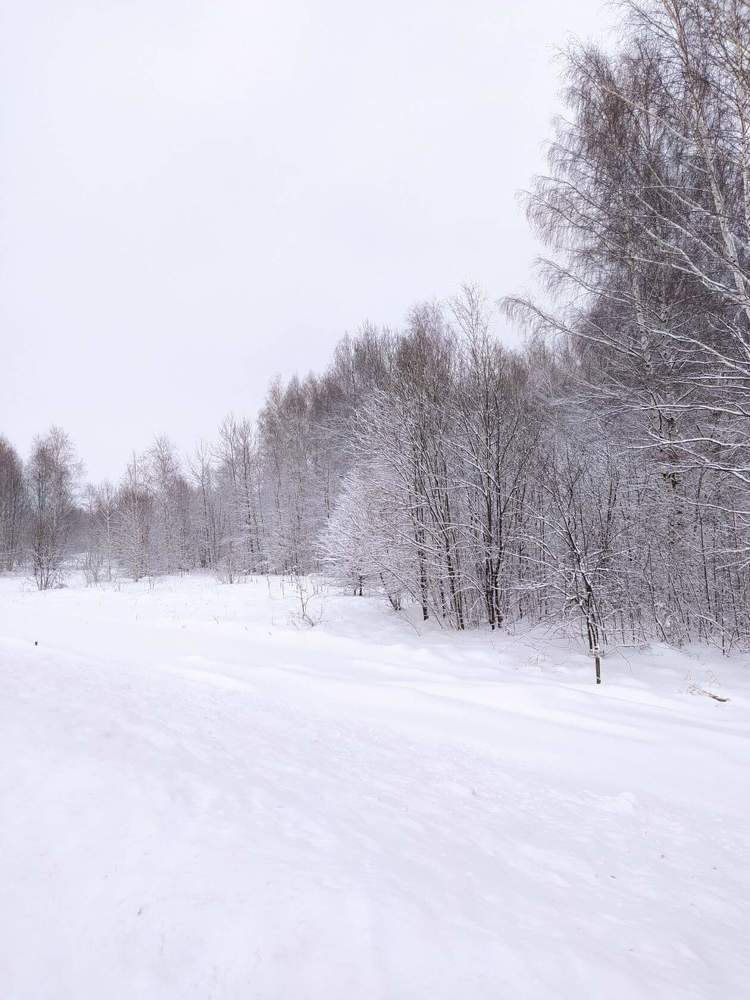 Снежная дорога