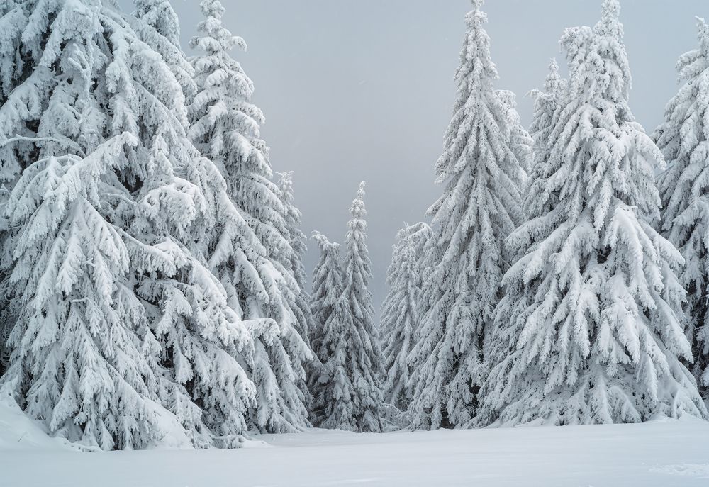 Photograph by Андрей Ожерельев