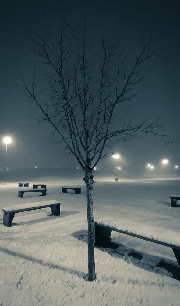 Photograph by Aleksandr Barsukov