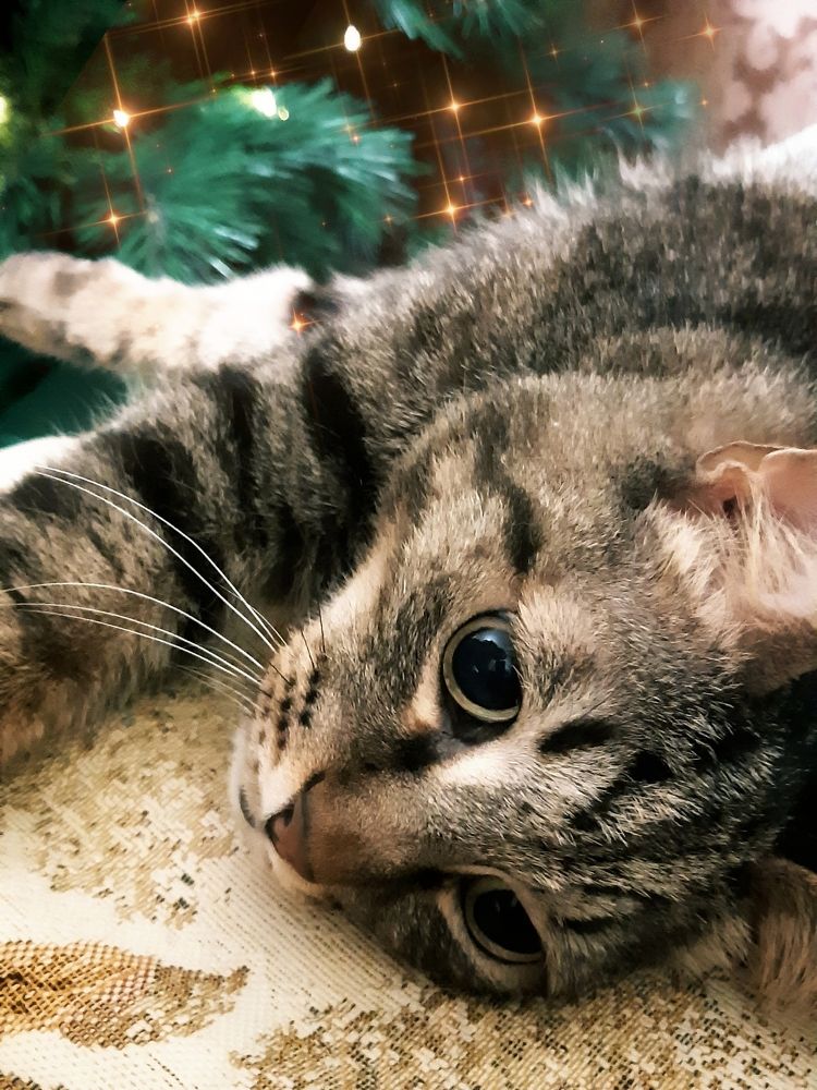 Photograph by  Валентина