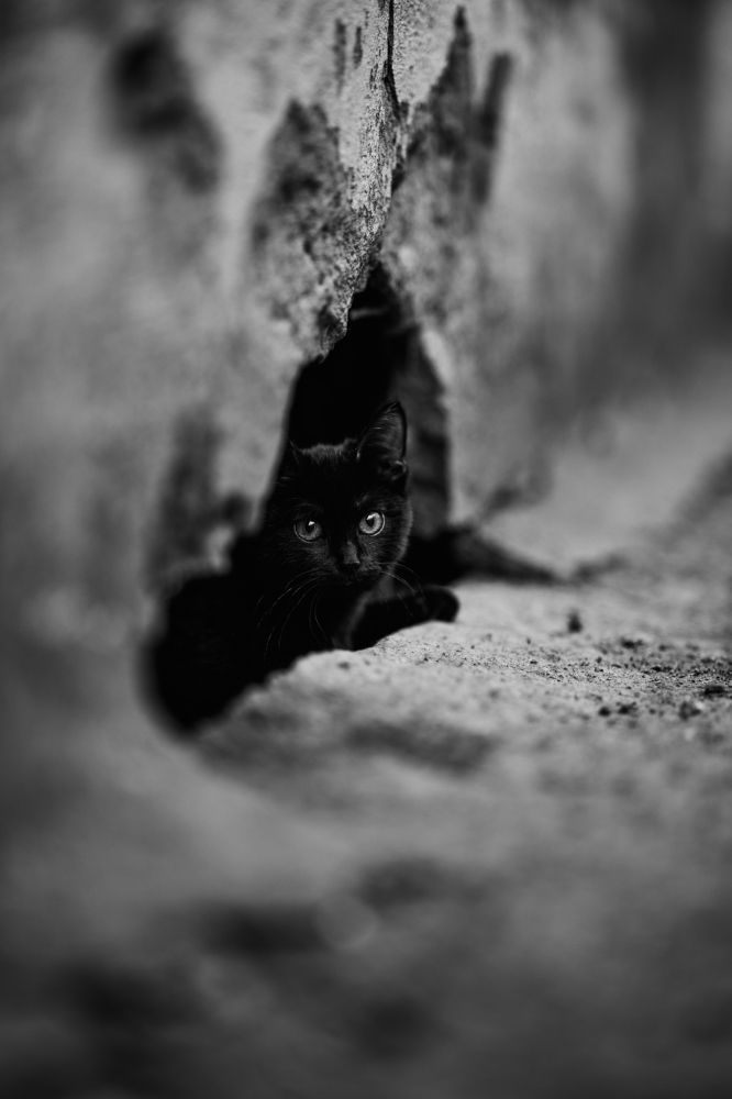 Photograph by Дмитрий Дыбов