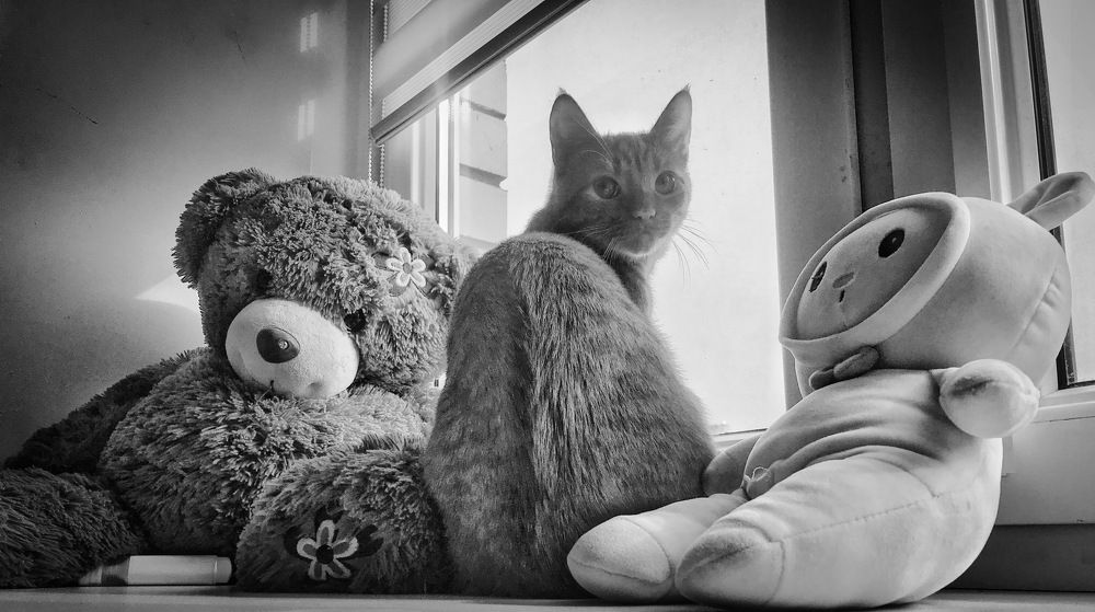 Photograph by Дмитрий Гришкевич