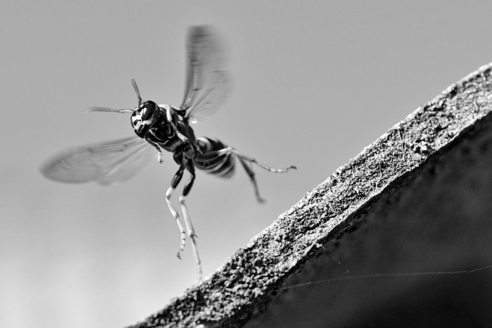 Photograph by Сергей Кравченко