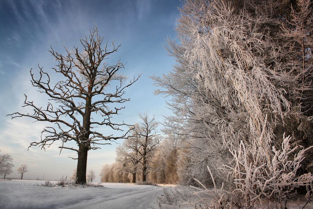 Photograph by Павел Прохоренко