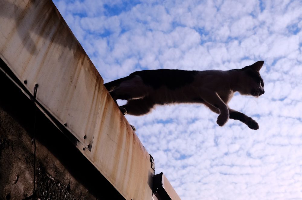 A leap with the clouds