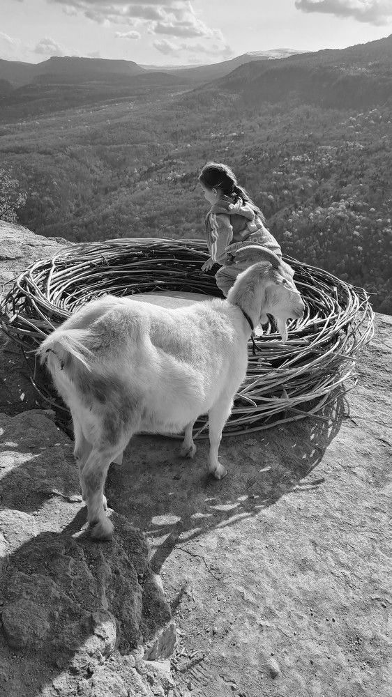 Photograph by Елена Кольцина