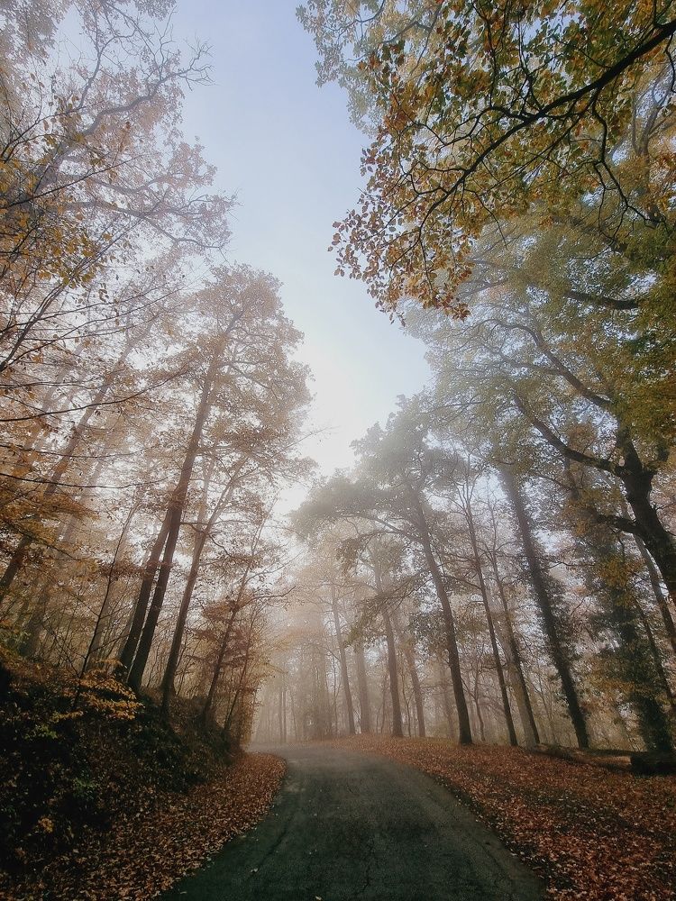 Photograph by Юлия Борт