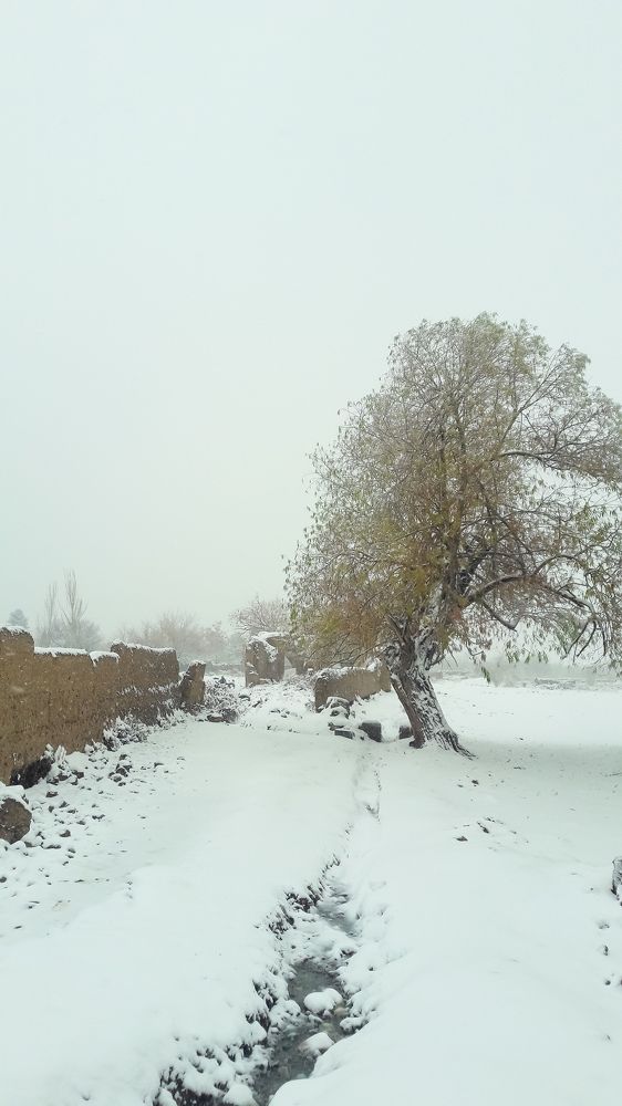 Photograph by Mozhgan Fotouhi