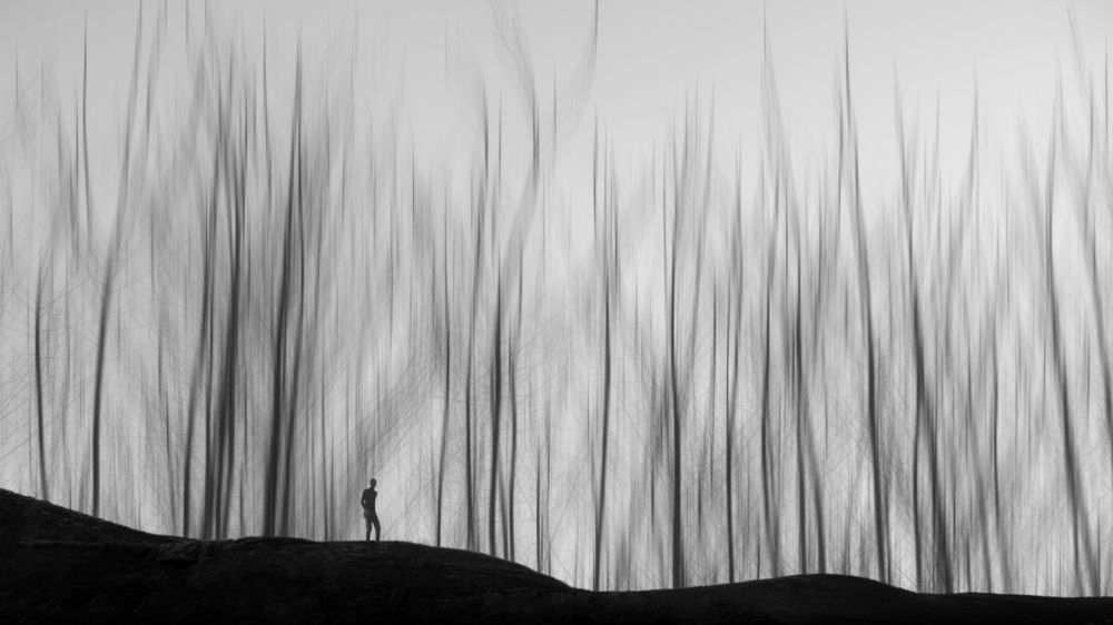 Фотография автора Ali Zolghadri