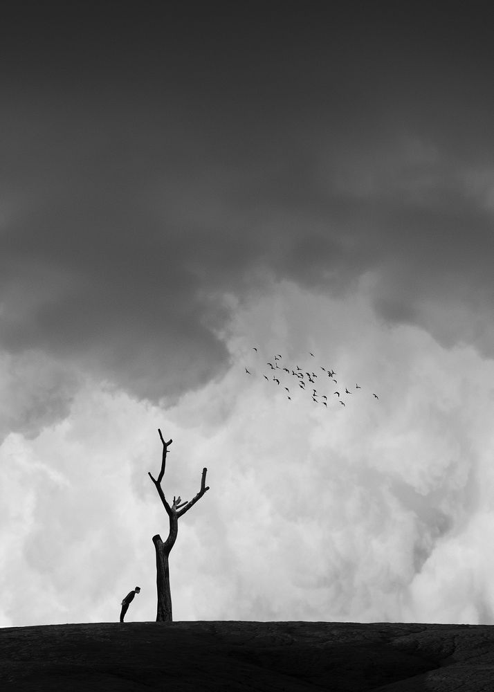 Фотография автора Ali Zolghadri