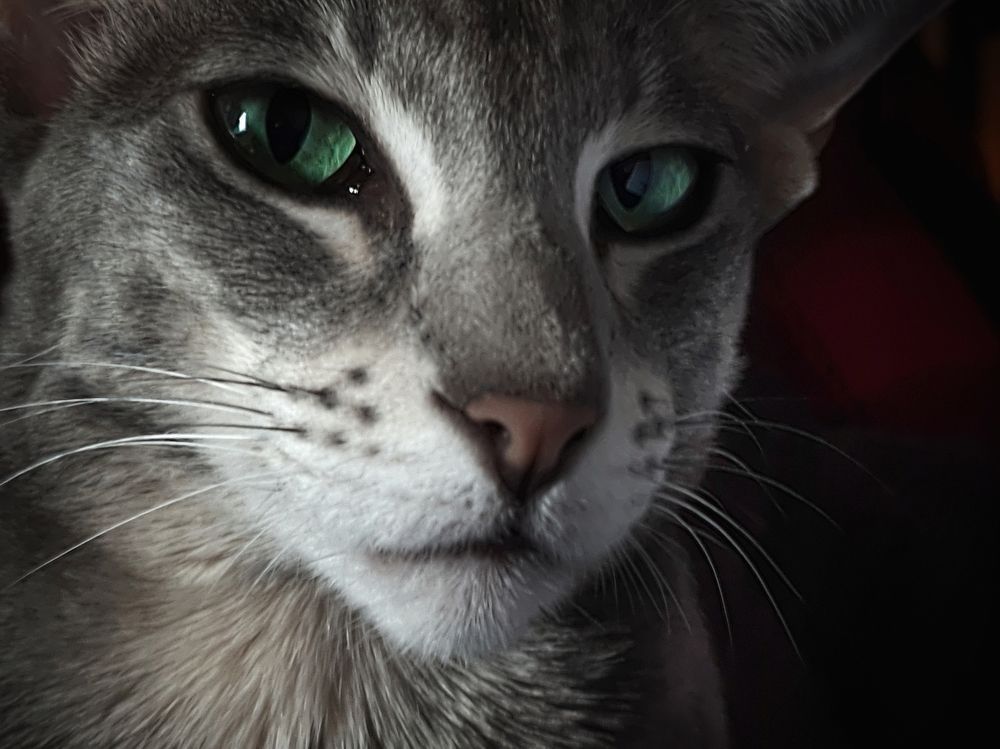 Photograph by Владимир