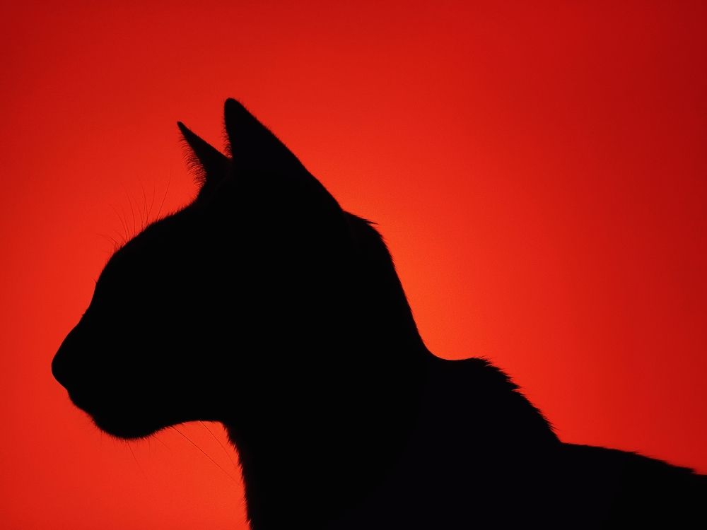 Photograph by Владимир