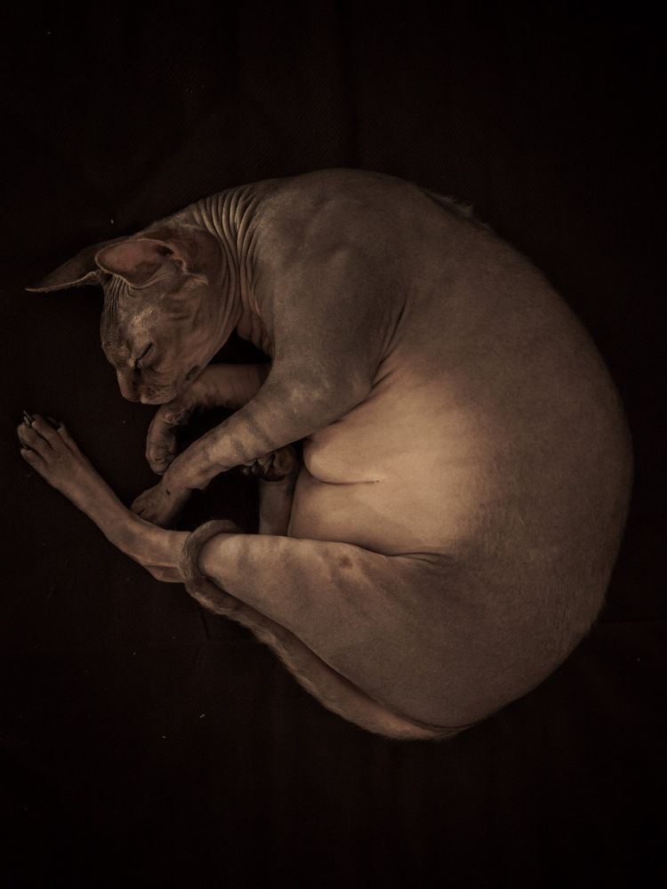 Photograph by Евгений Новицкий