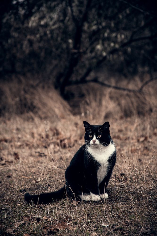 Photograph by Евгений Новицкий