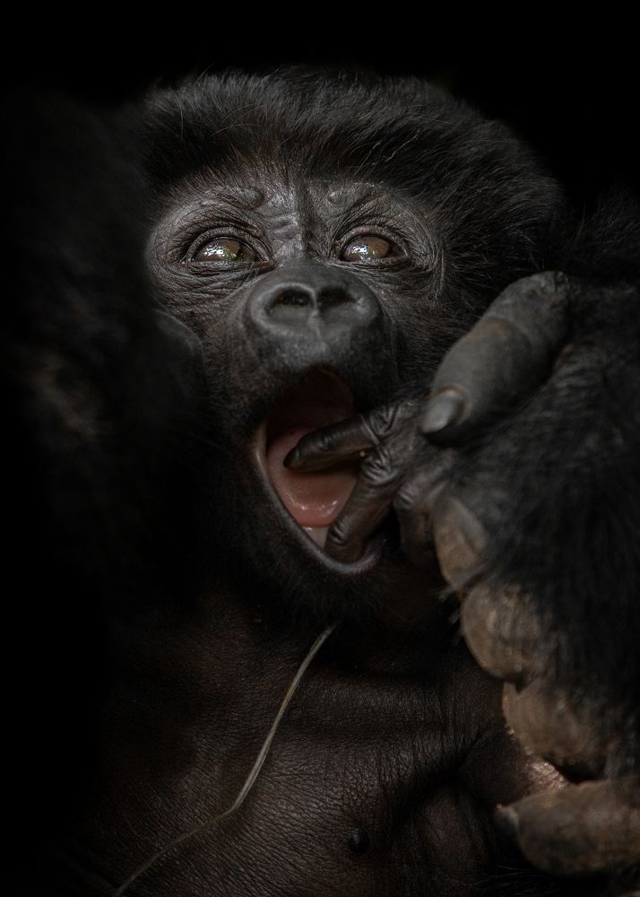 Photograph by Ricardo Ferreira