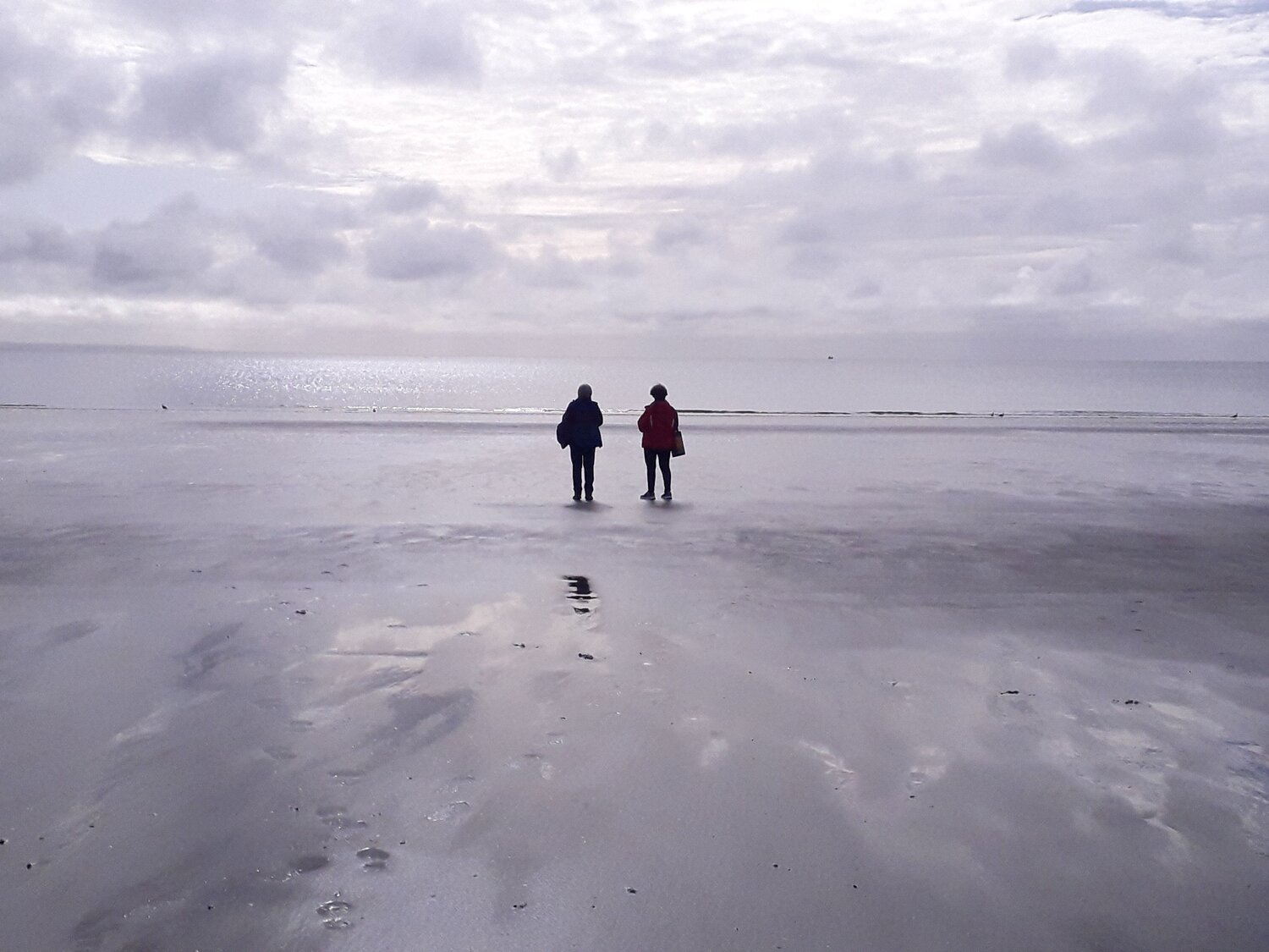 Photo #8698526