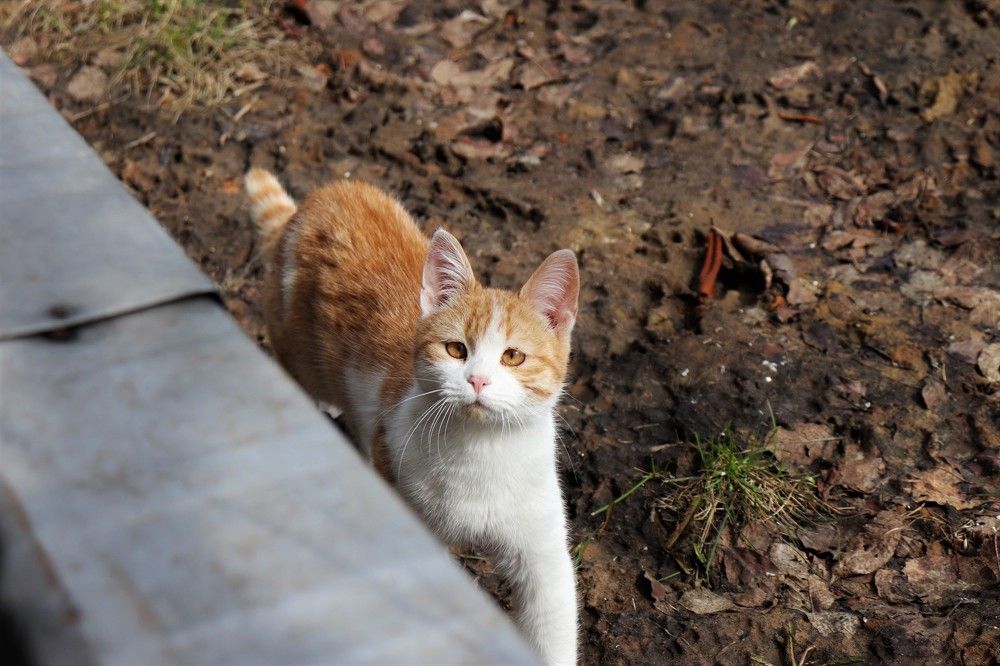 Photograph by Федоренко Элеонора