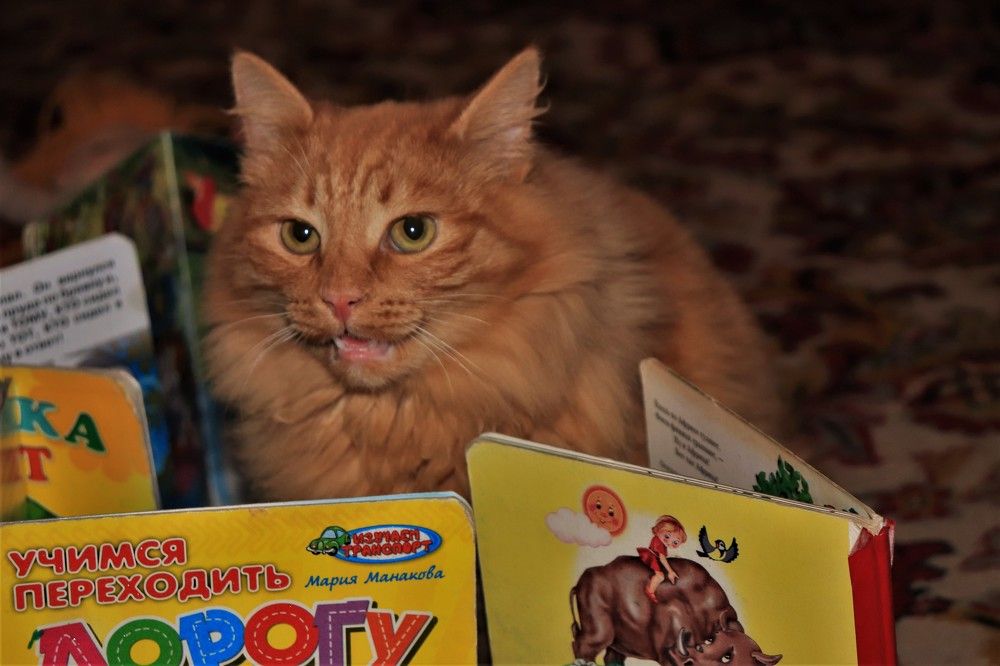 Photograph by Федоренко Элеонора