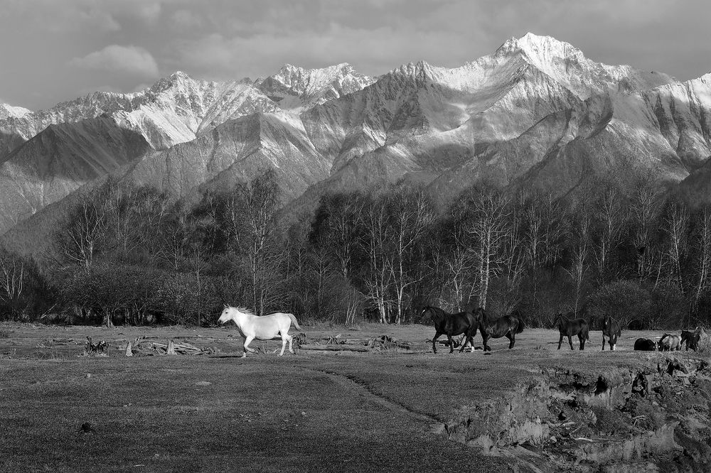 Photograph by Александр Попов