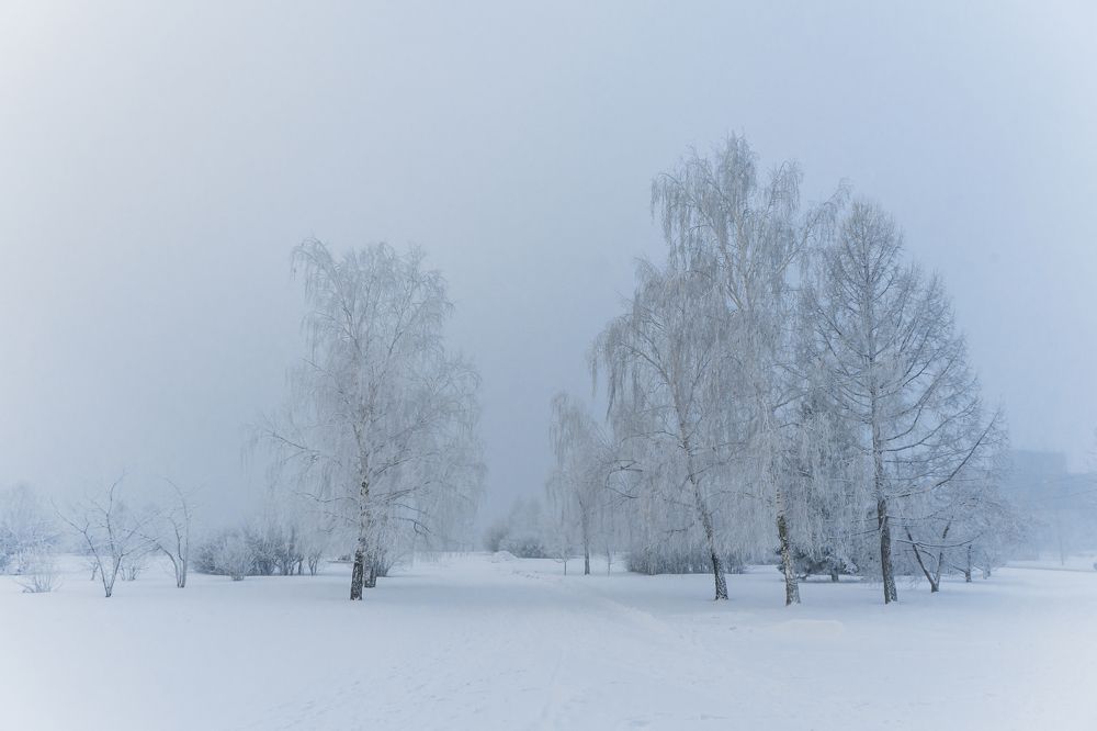 Photograph by Александр Пургин
