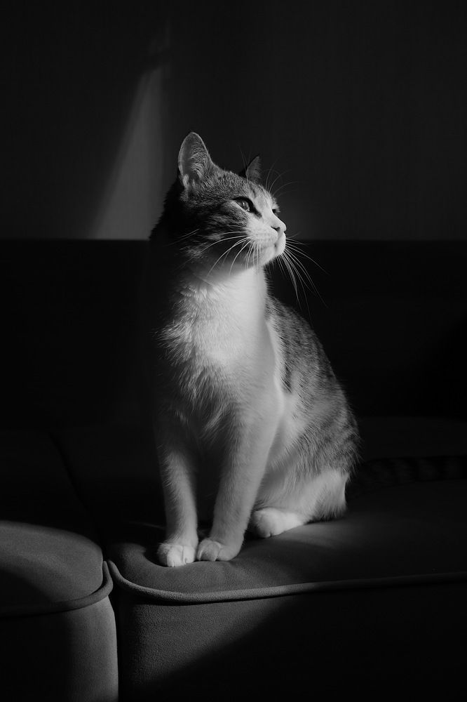 Photograph by Оксана Пидоря