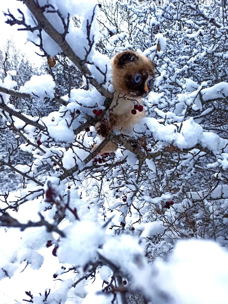 Photograph by Светлана