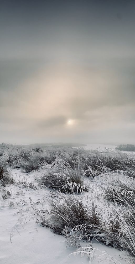 Photograph by Катерина Иванова