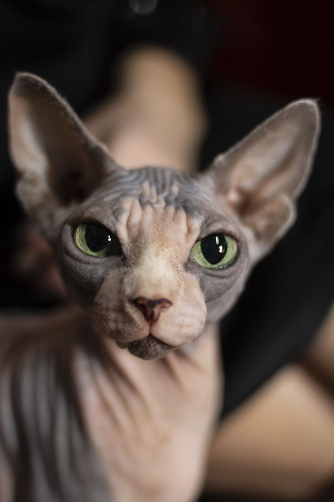 Photograph by Татьяна