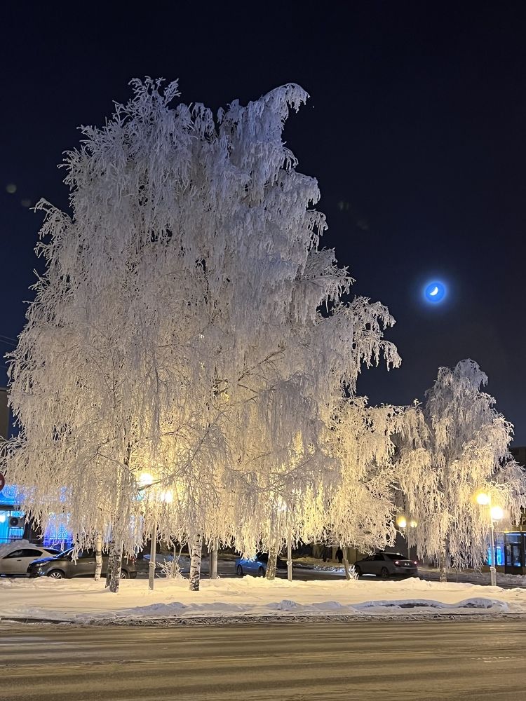 Photograph by Елена Лобакова