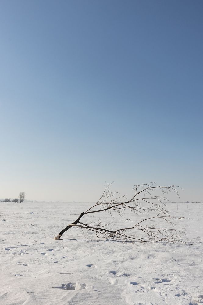 Photograph by Катерина Иванова