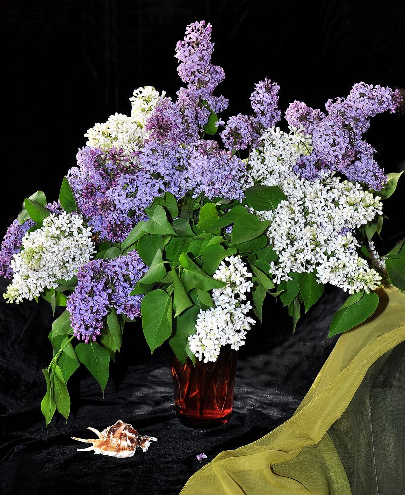 Photograph by Людмила Низова