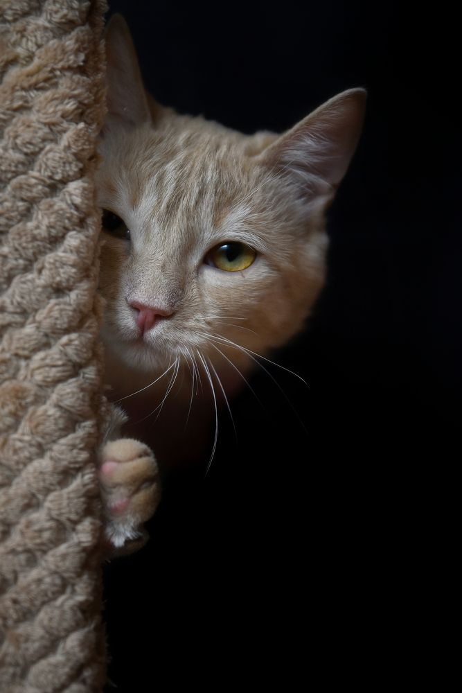 Photograph by Елена Чащина