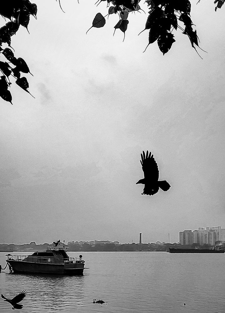 Photograph by Amit ganguli