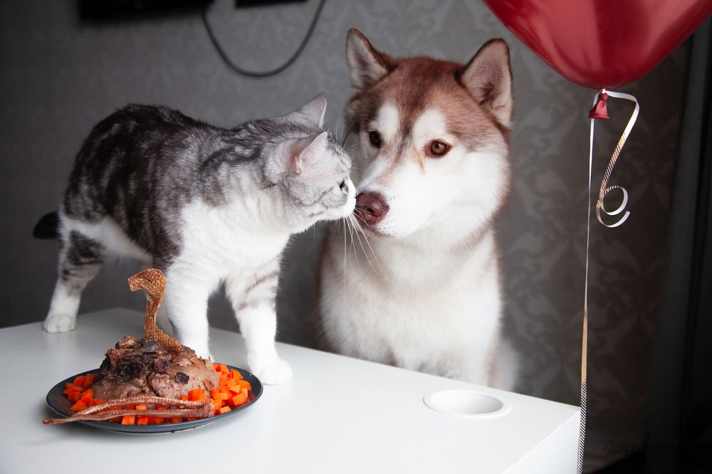 Photograph by Алина Перескокова