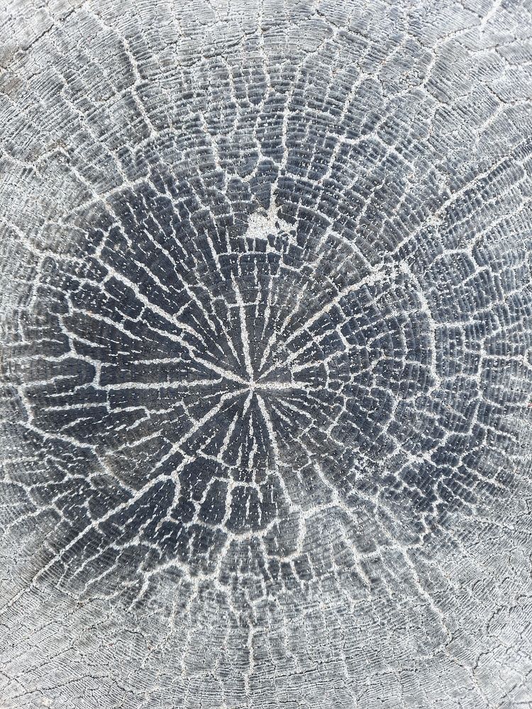 Photograph by Анастасия Кочетова