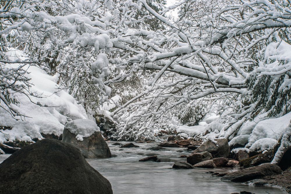 Photograph by Sergey Uskov