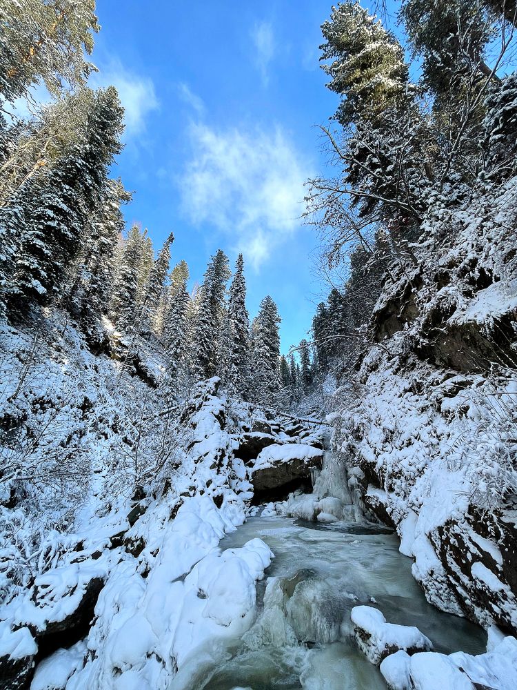 Photograph by Юлия