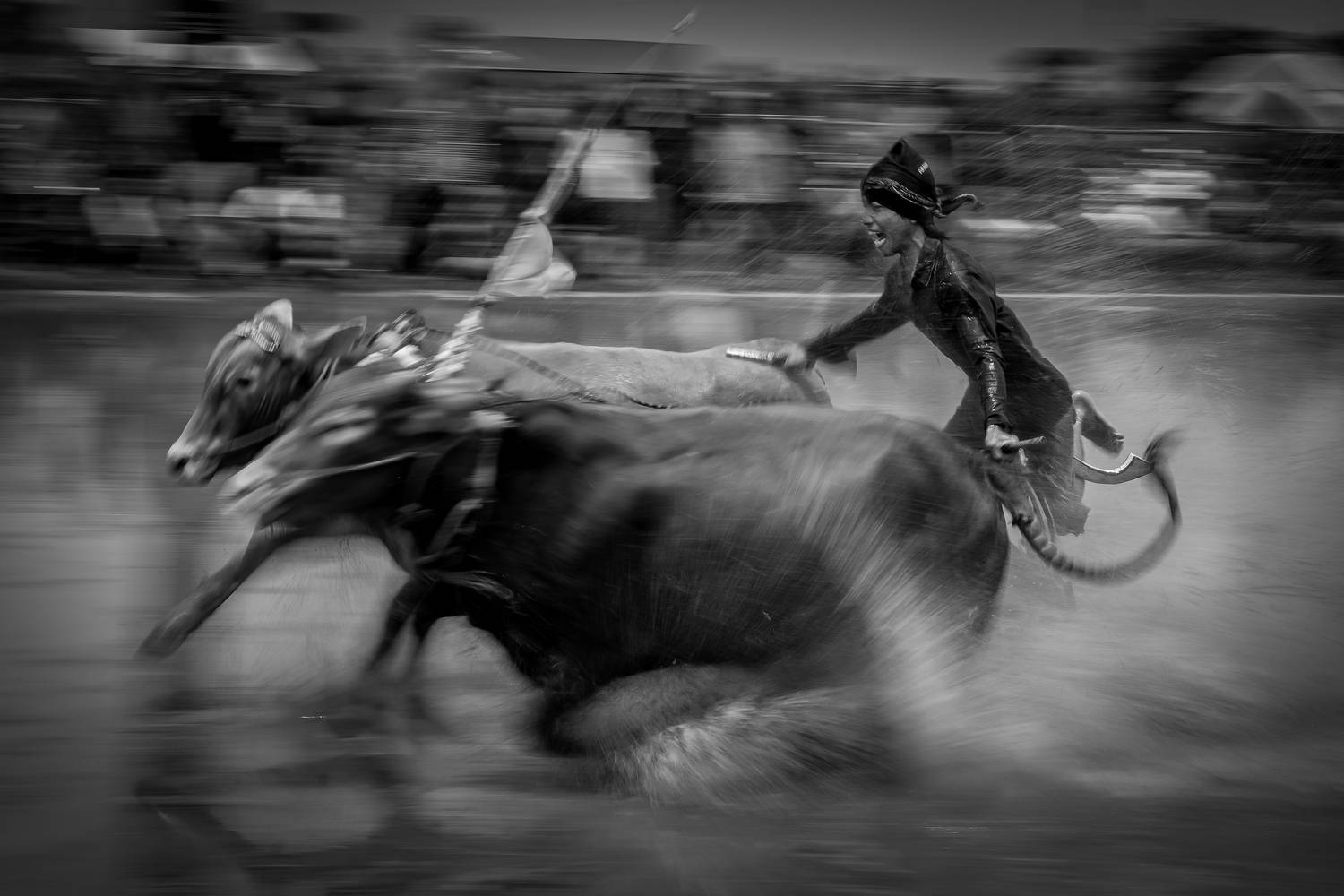 Фотография #8699067