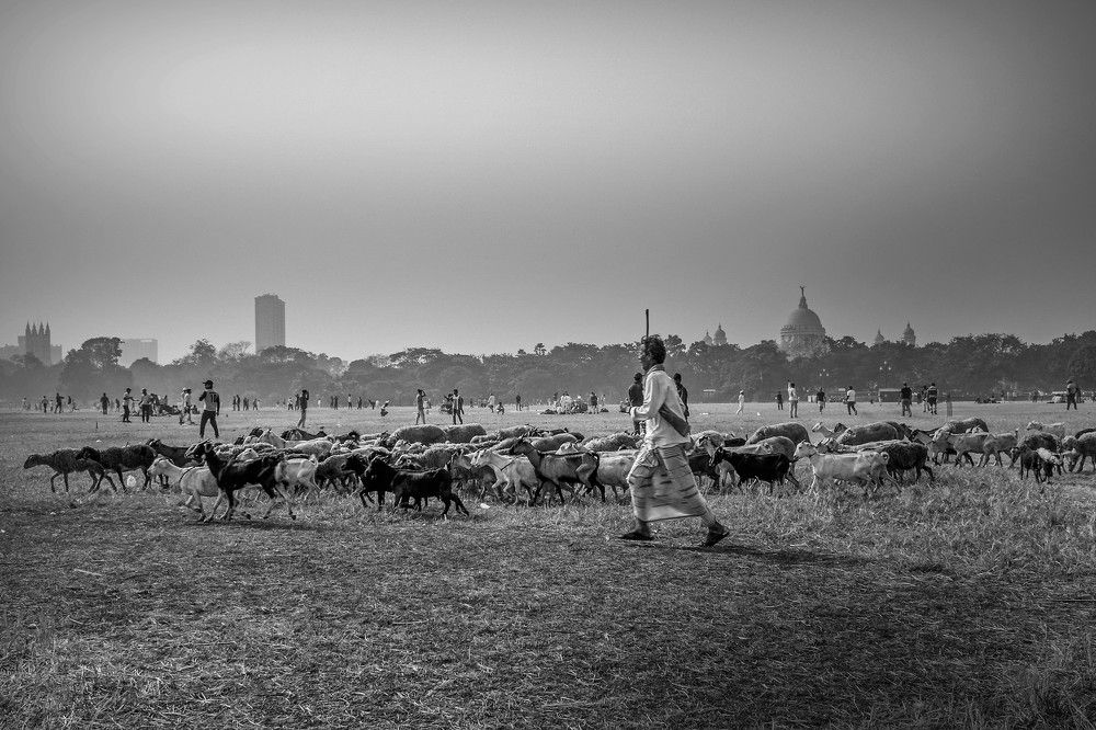 Photograph by Prasanta Roy