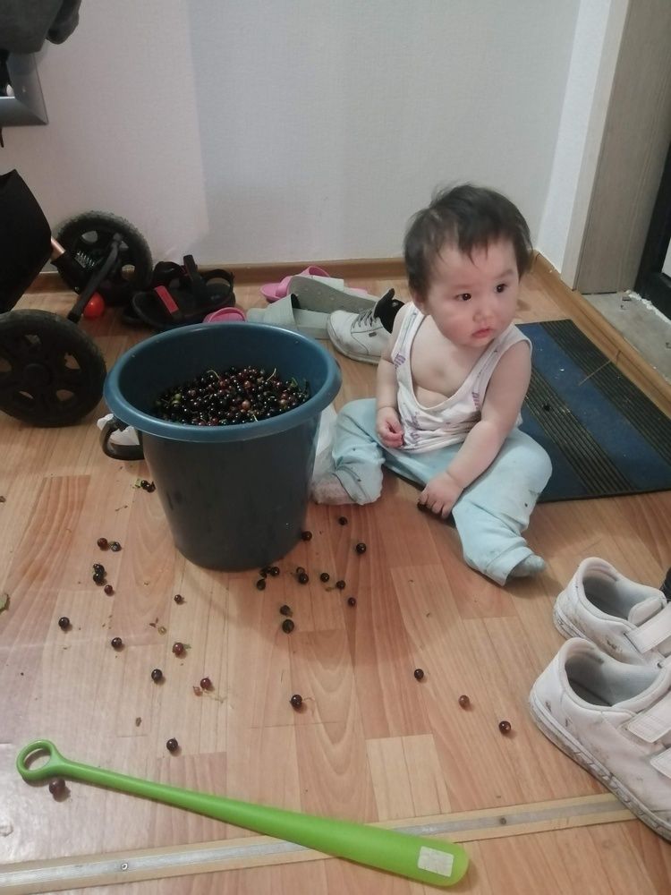 Photograph by Херел Кужугет