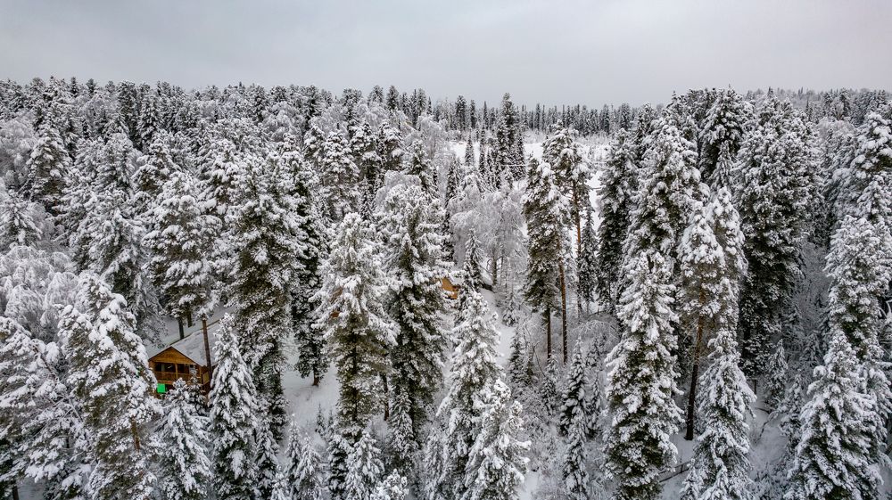 Photograph by Михаил Лаптев