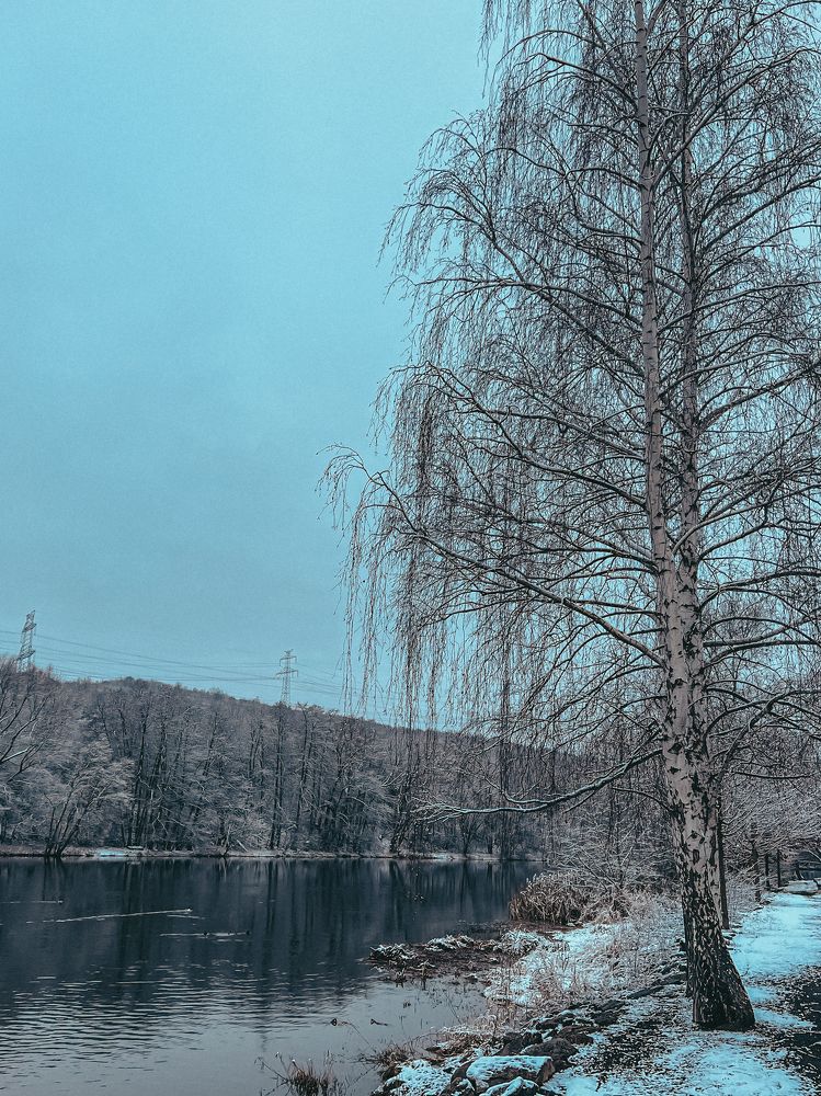 Photograph by Tatiana Chernaletskaya